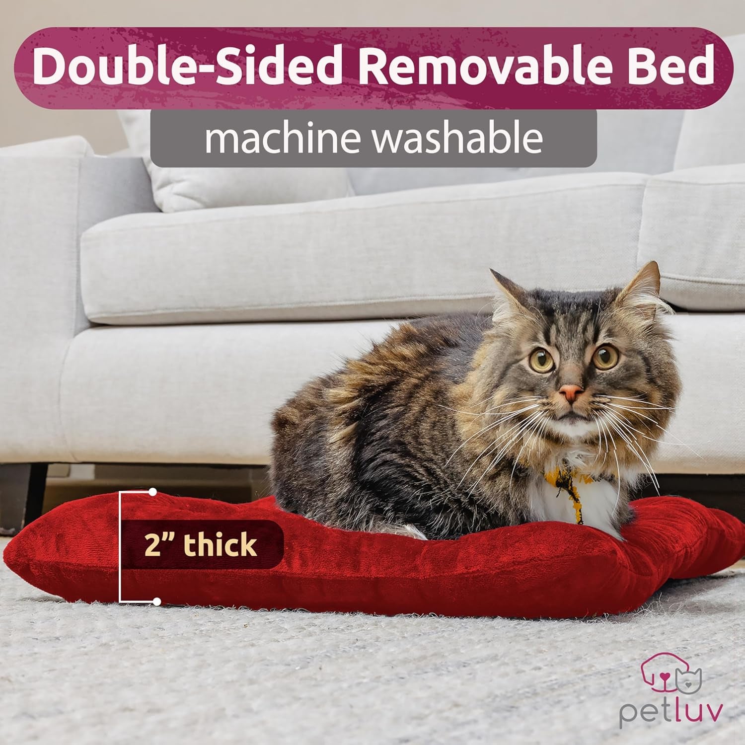 Cat & Dog Pet Carrier, Soft-Sided, Large 24"X16"X16", Fits Large Cat, 2 Cats, or Medium Dog Comfortably, Great for Travel & Vet Visits, Privacy Windows, Removable Bed, Locking Zippers, Foldable