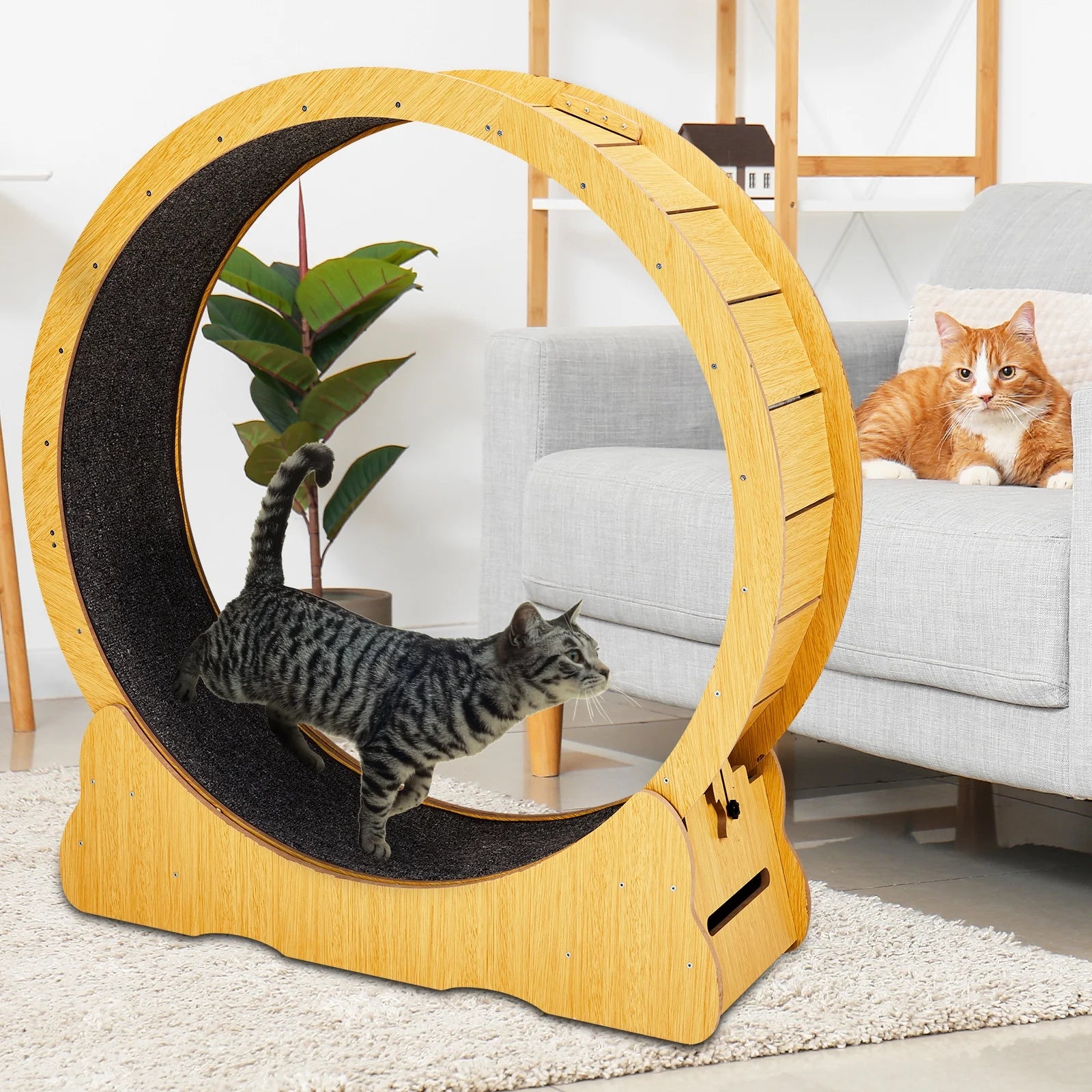 Cat Exercise Wheel for Indoor Cats,40" Large Cat Running Treadmill Wheel with Carpeted Runway for Kitty’S Longer Life,Natural Wood Color